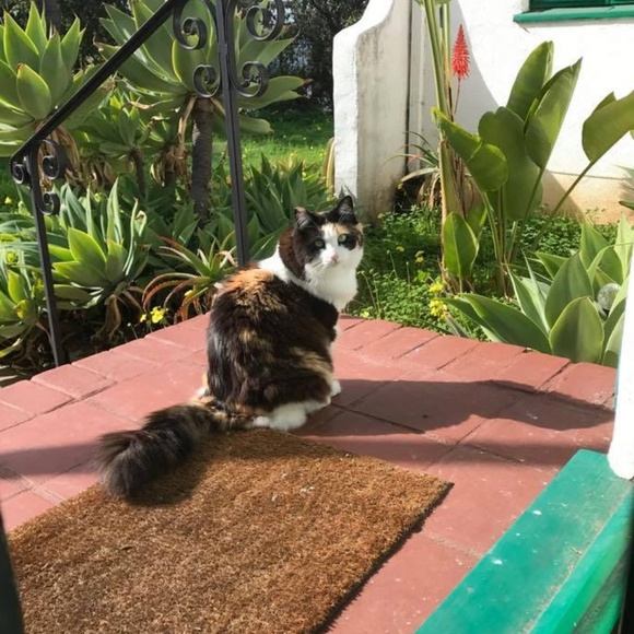 Meet your Posher, Elim - Picture 7 of 13